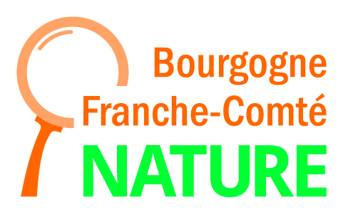 Logo bfcn cmjn