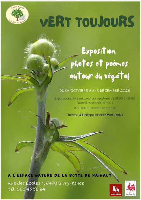 Images-4-
