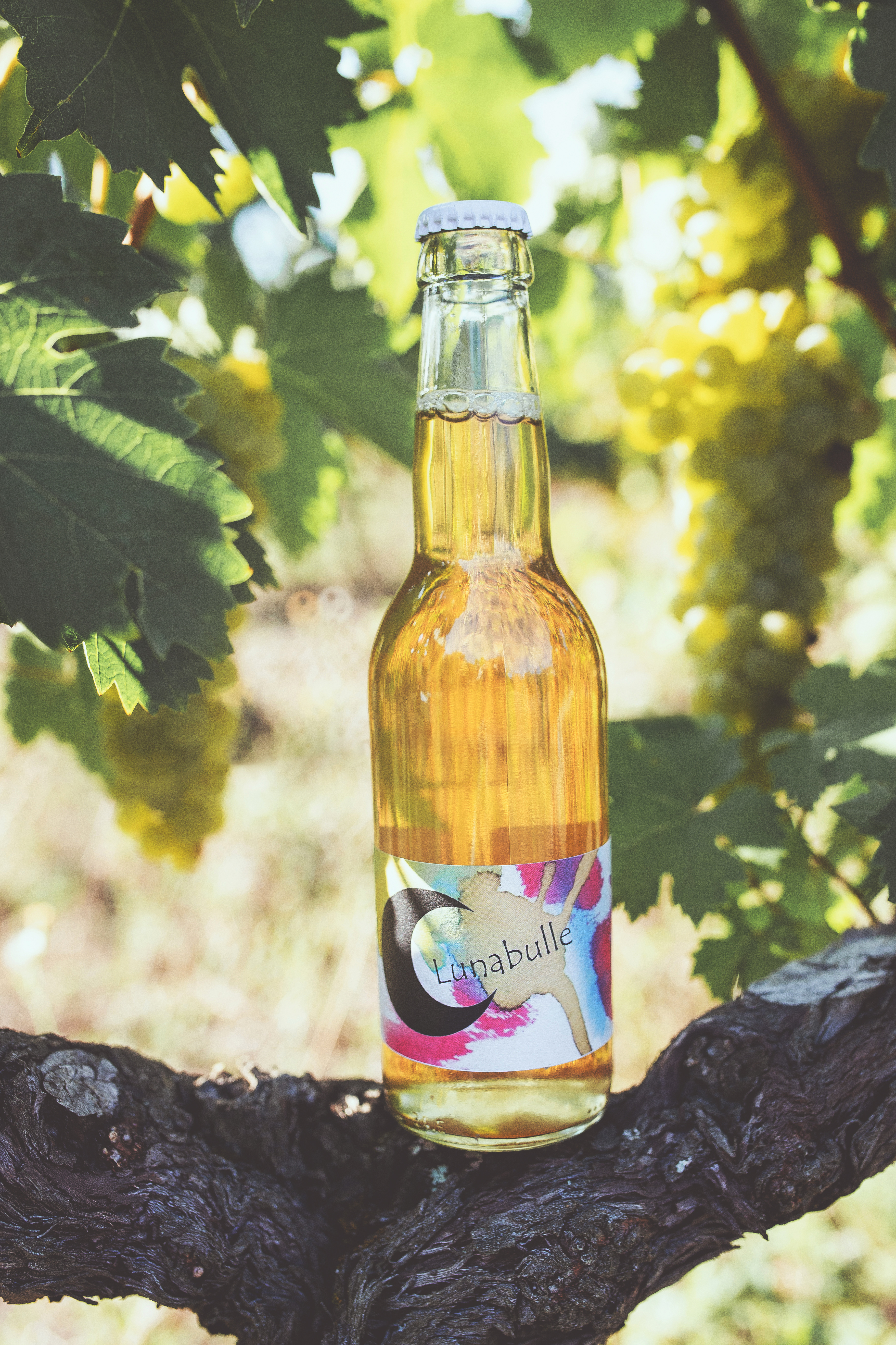 Lunabulle-33cl