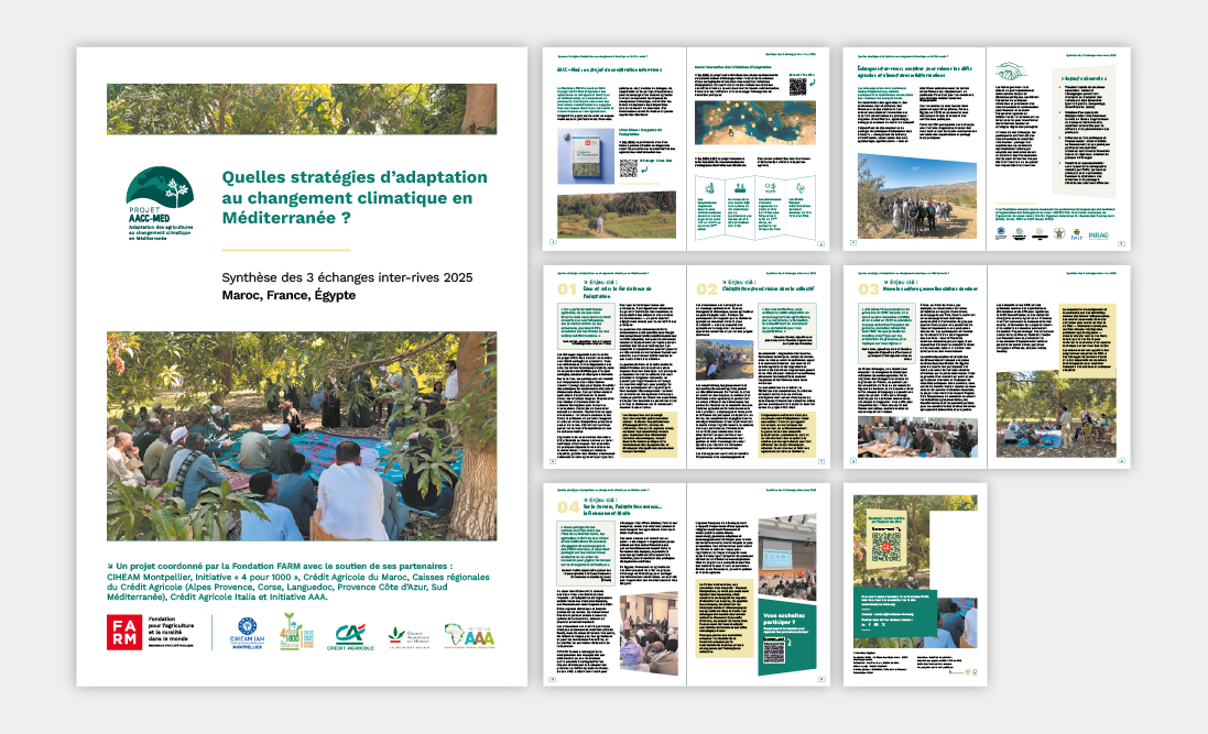 Echantillon site web 05