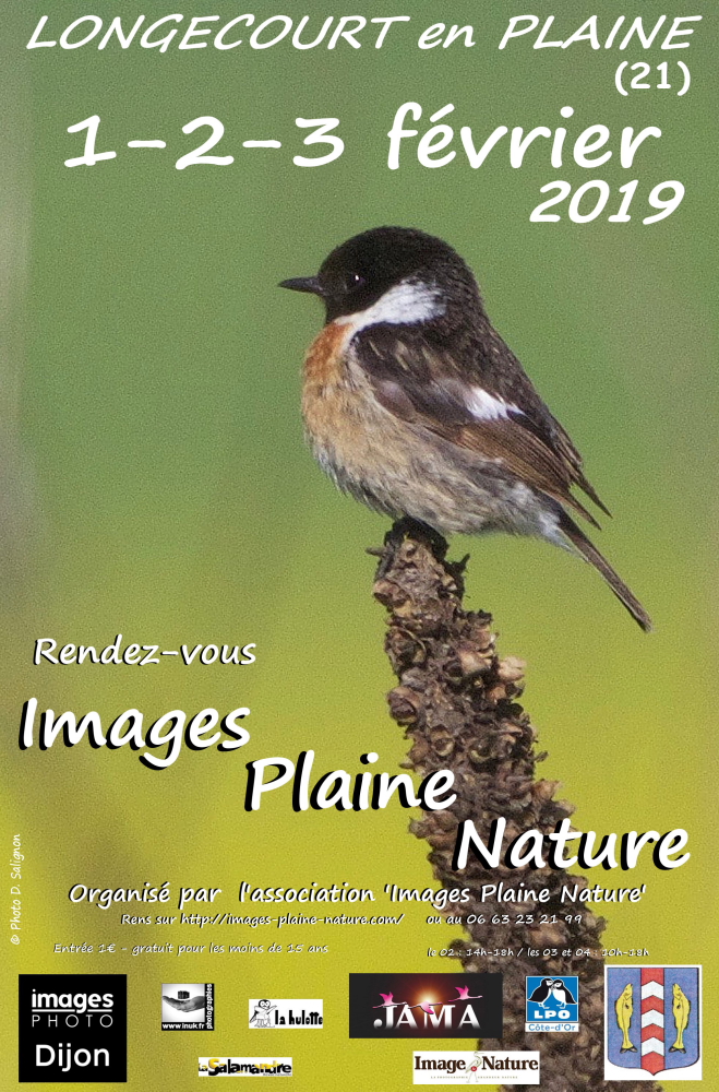 Affiche 2019