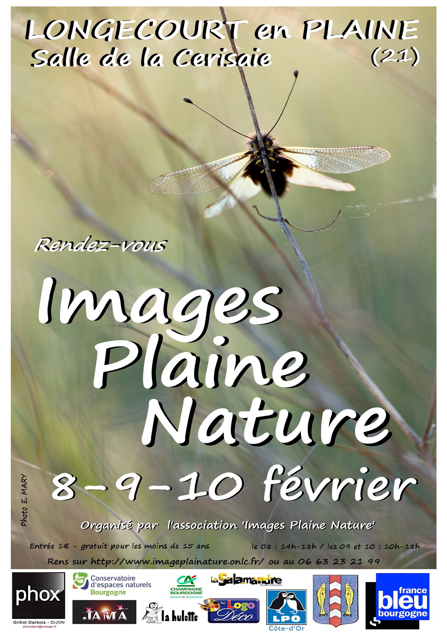 Affiche 2013