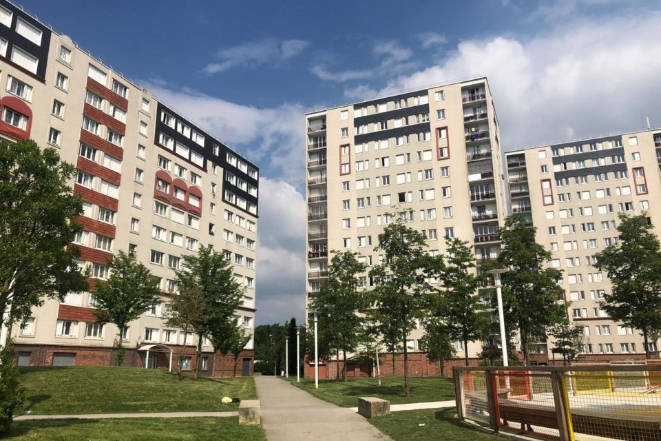 Image-1