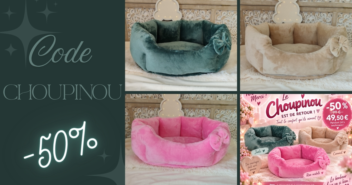 Publication-fb-6-