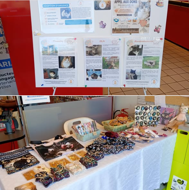 🐾❤️ Mathilde vous attend aujourd’hui au magasin U d’Étampes-sur-Marne ! ❤️🐾