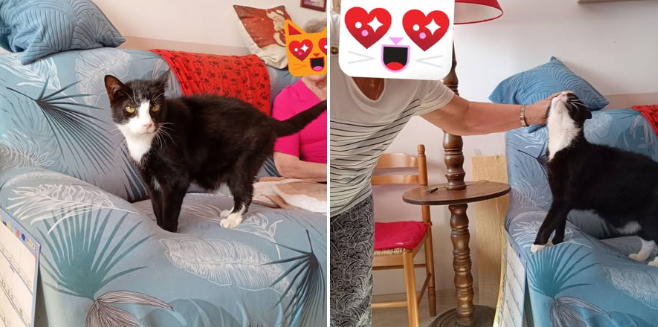🐾❤️ VOYOU AUSSI A TROUVÉ SA FAMILLE ! ❤️🐾
