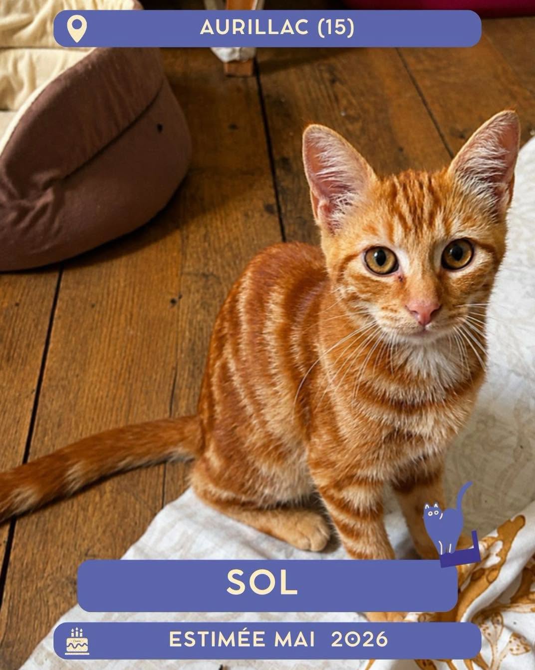 Sol