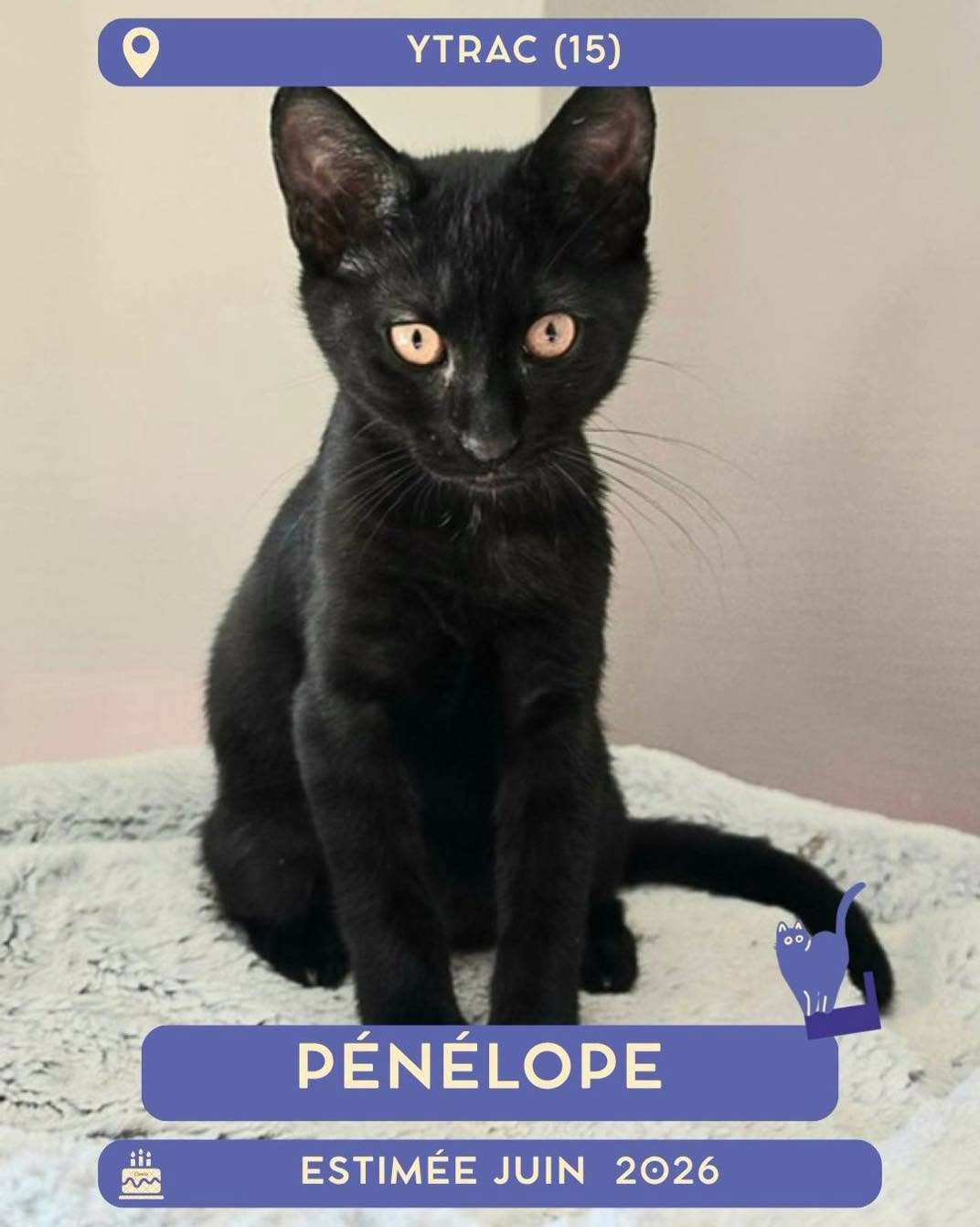 Penelope