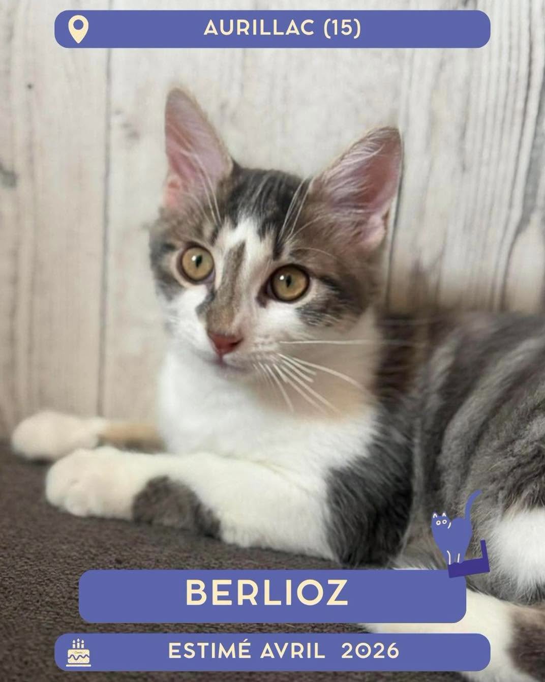 Berlioz