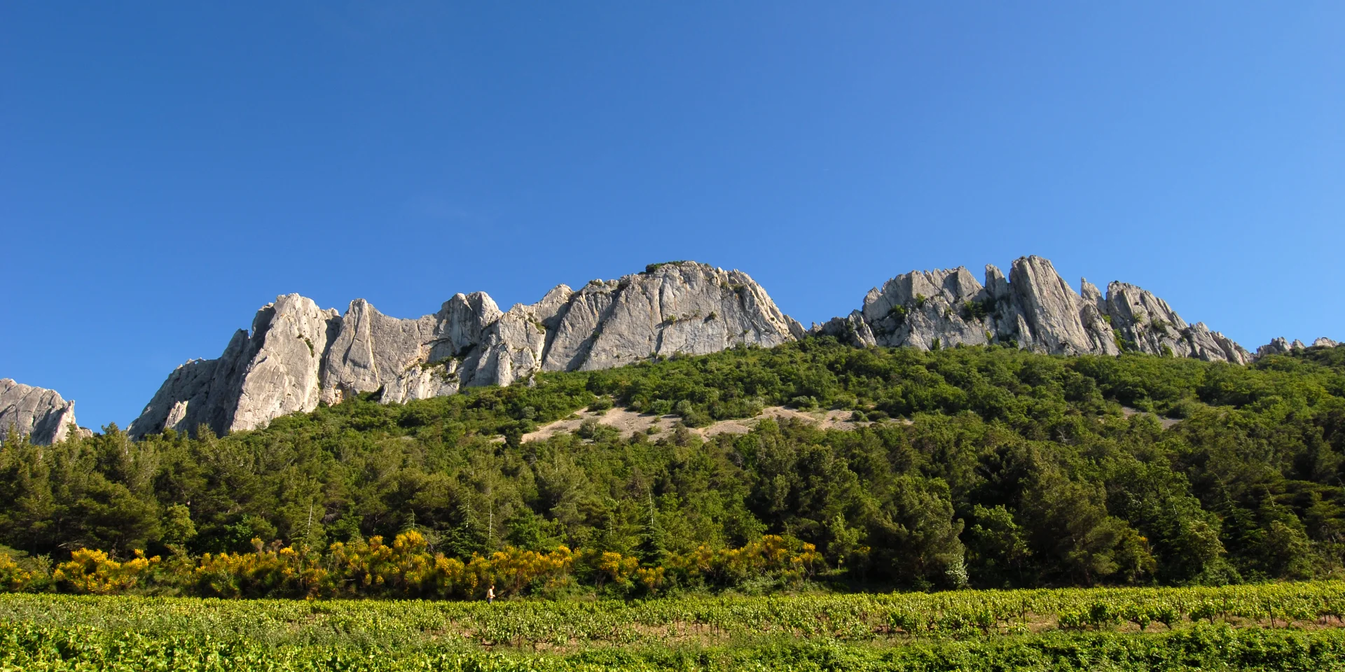 Dentelles 5504 philippeabel 1920x960