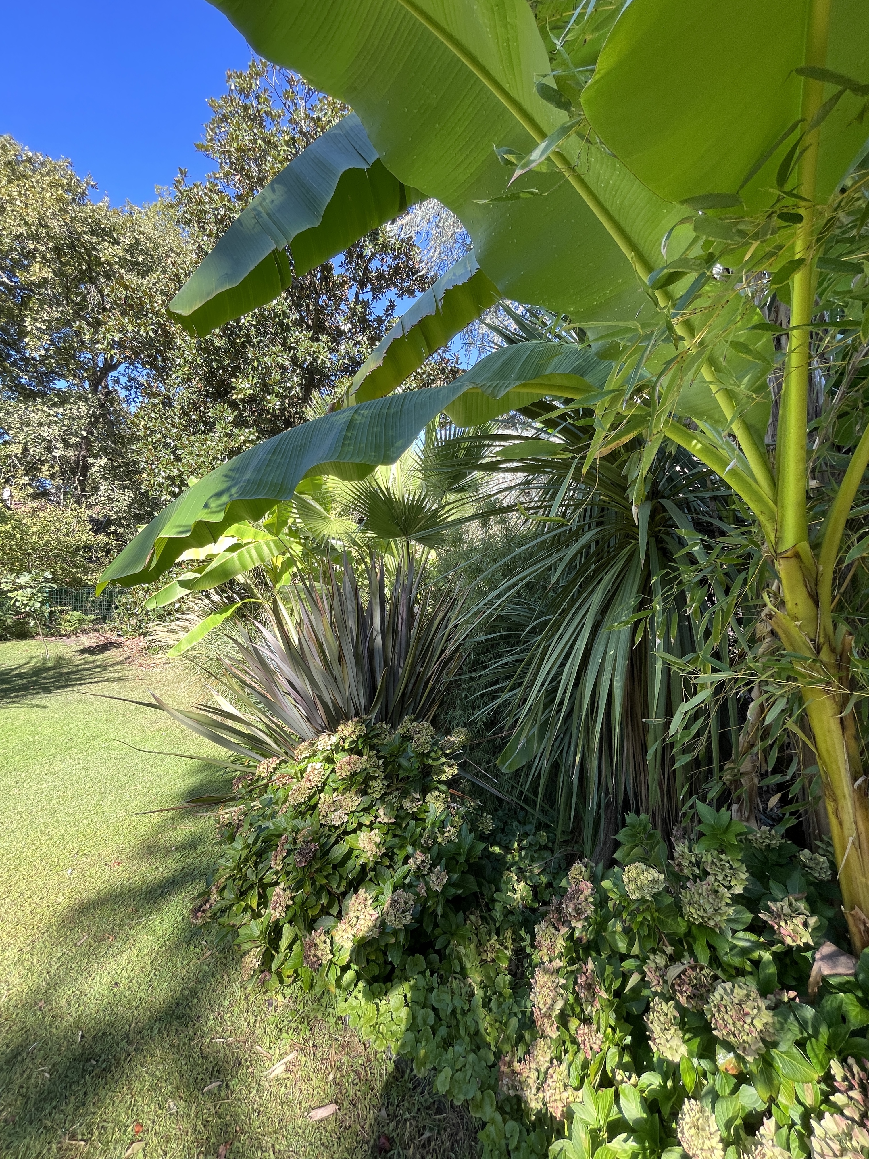 Entre la foret et les bananiers maison chambre d hotes airbnb booking saint aubin de medoc bordeaux atelier les renaissances tapissier decorateur