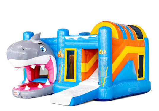 Château Multiplay  Requin