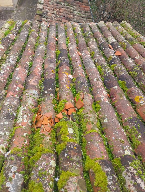Depannage fuite montauban
