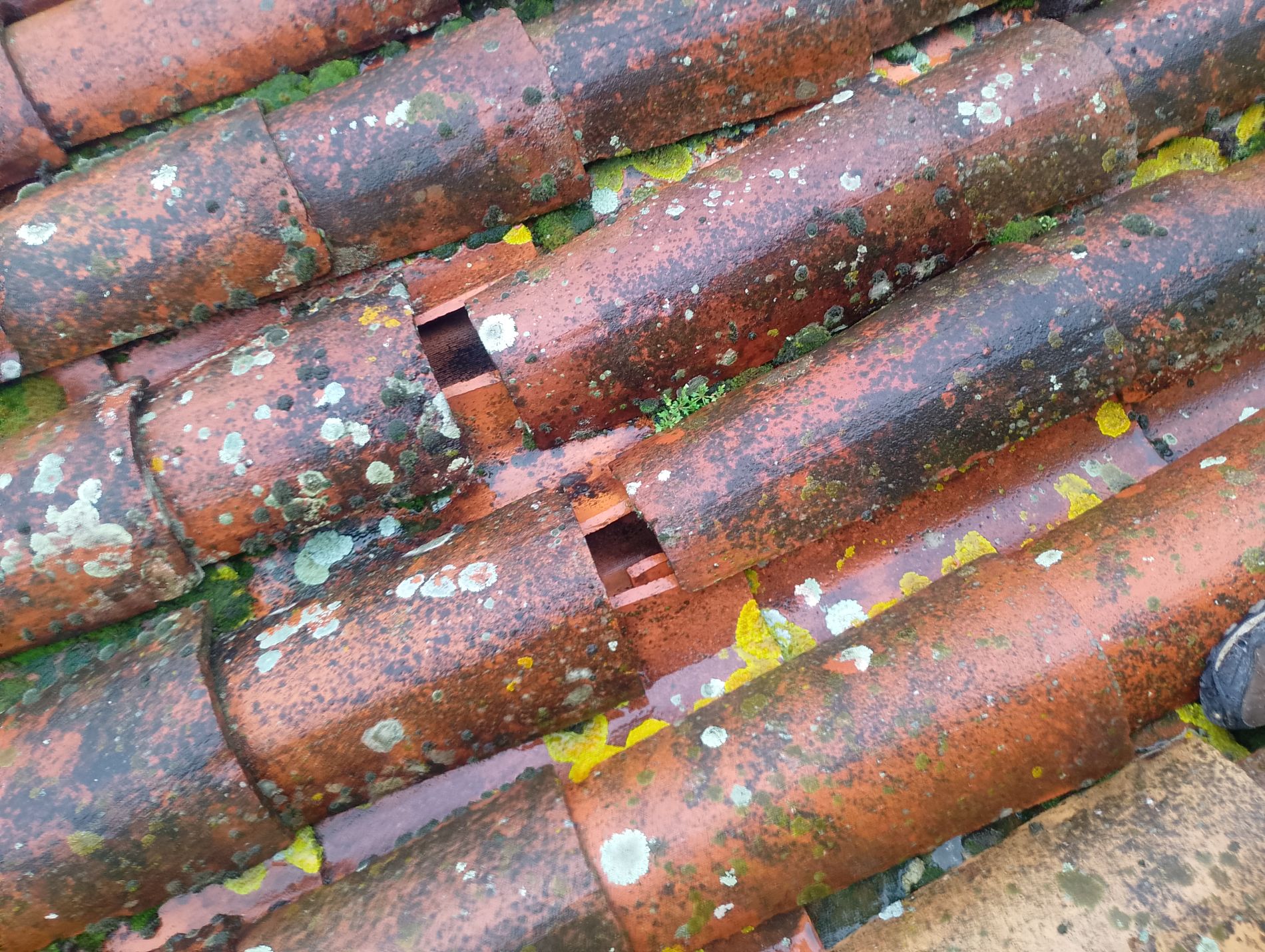 Intervention tuiles deplacees intemperies montauban