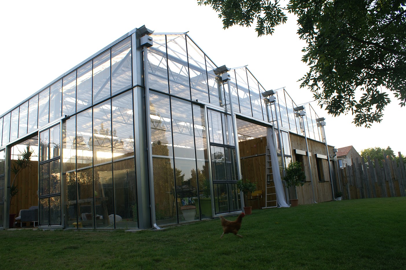 Pict0096