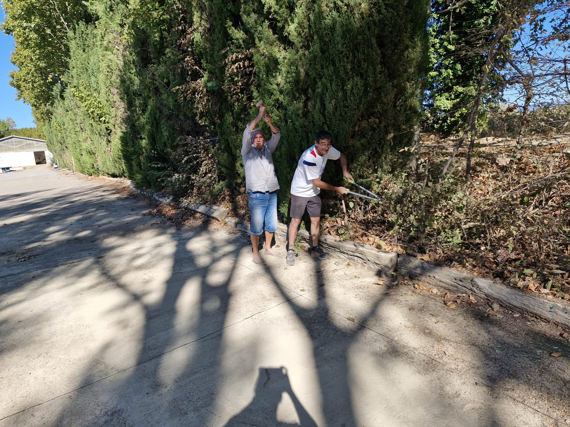 Img 20260922 wa0005