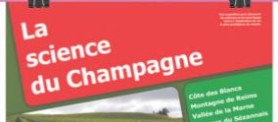 Champagne