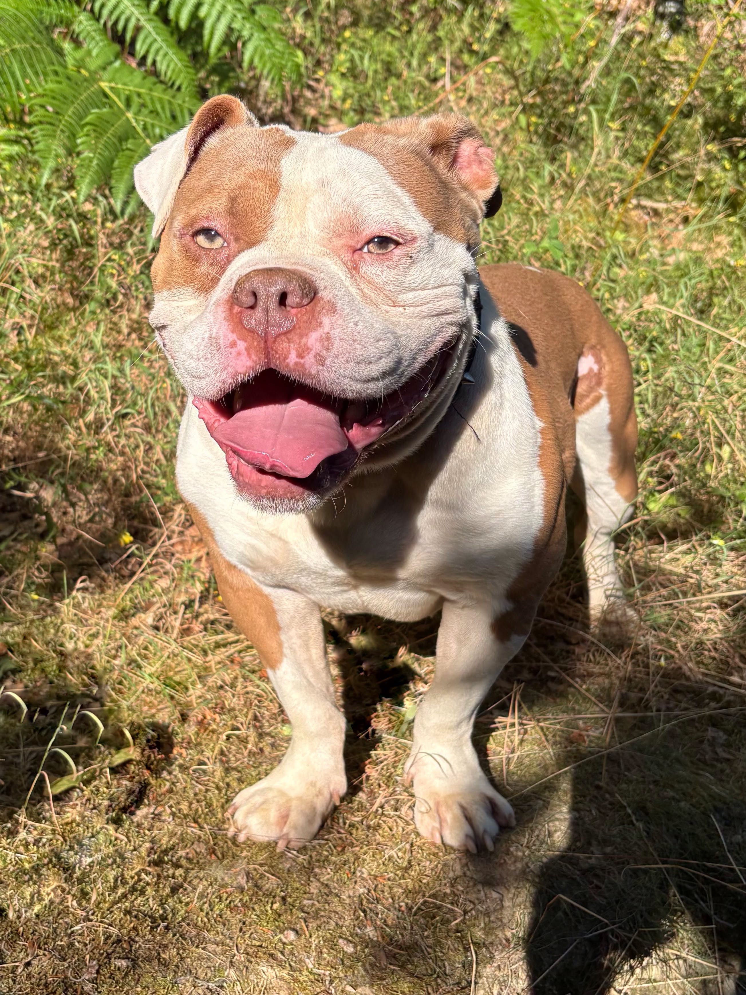 Billy