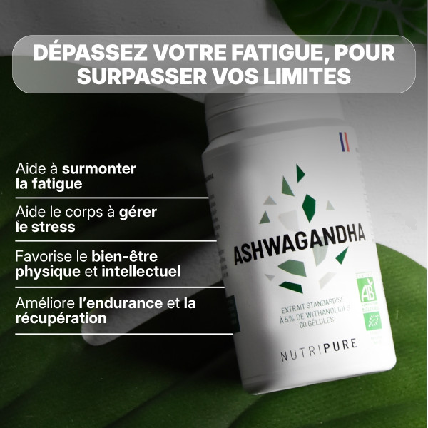 plante adaptogene ashwagandha pas cher aubagne allauch marseille la valentine plan de cuques 