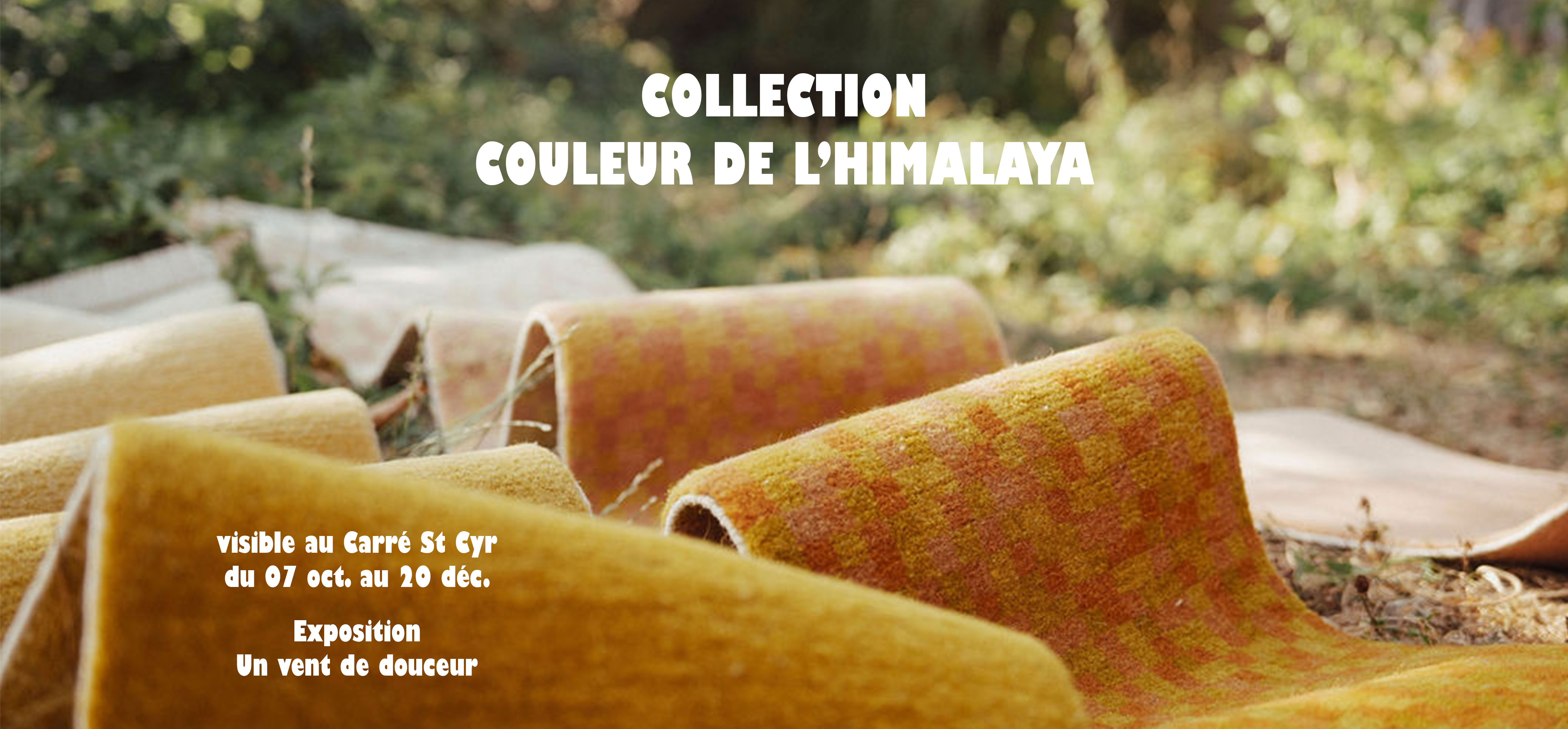 Accueil expo vent de douceur