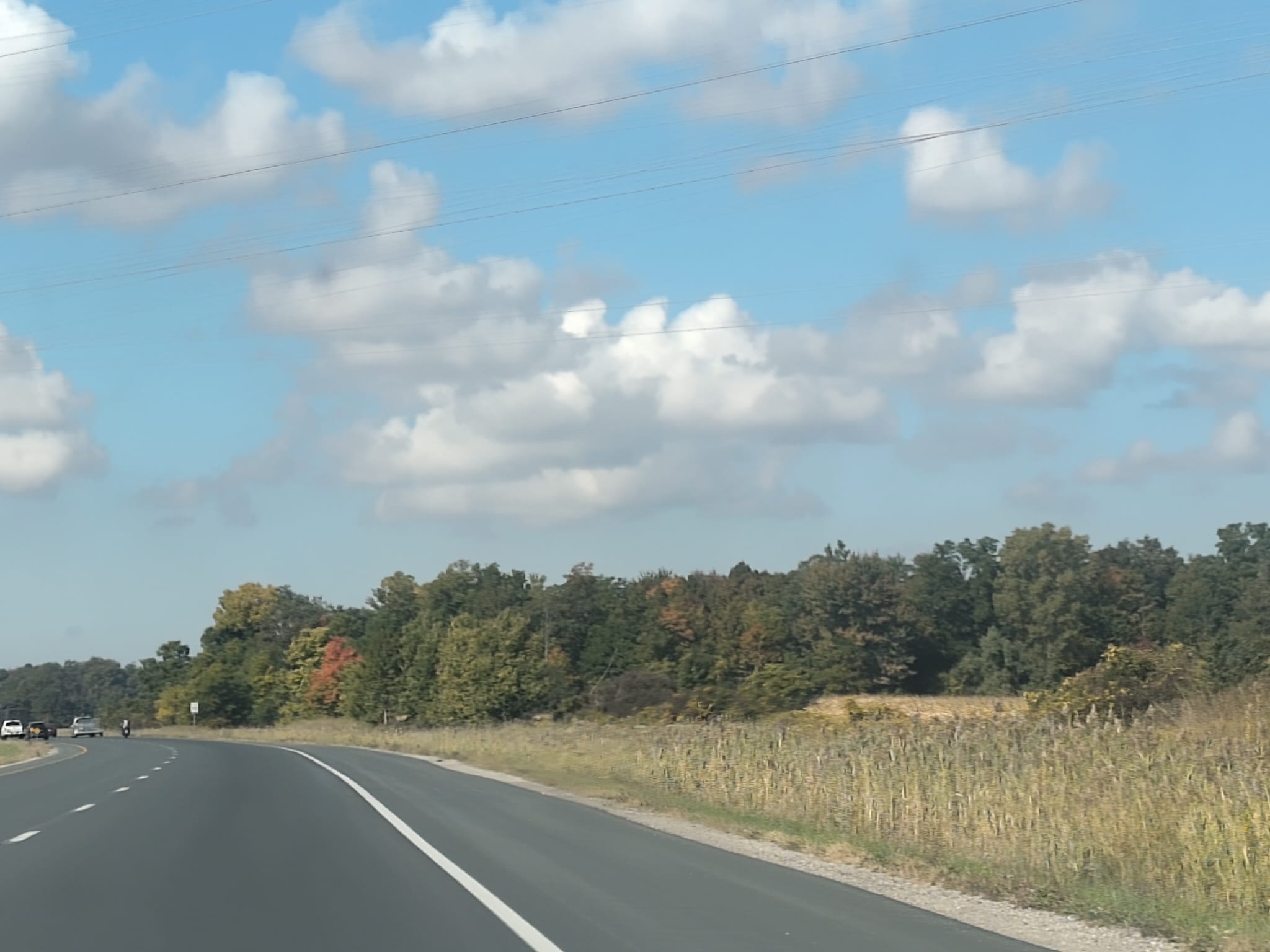 09454690-33b9-4fb1-94e6-5c5ecc21d444