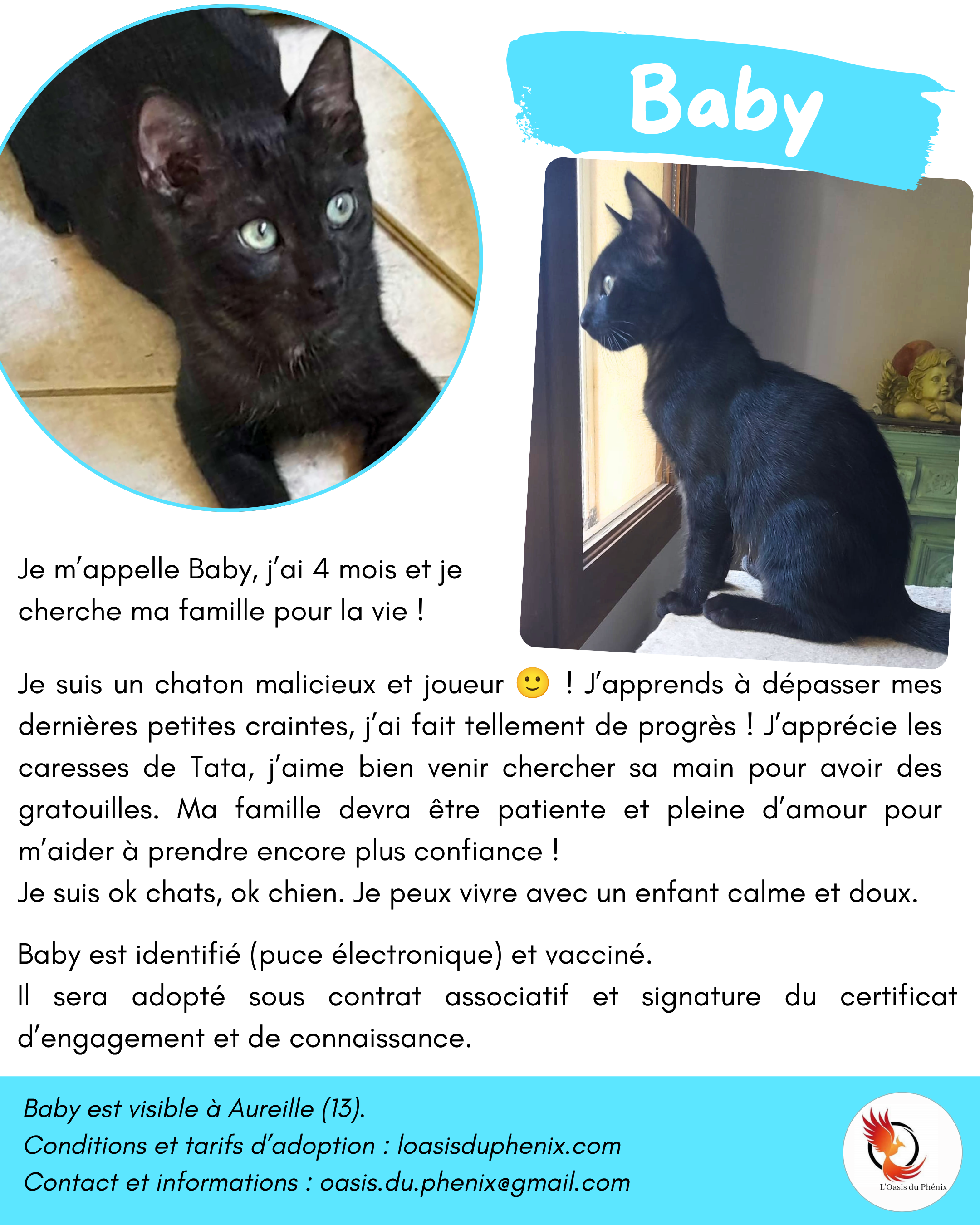 Chatons-Yolande