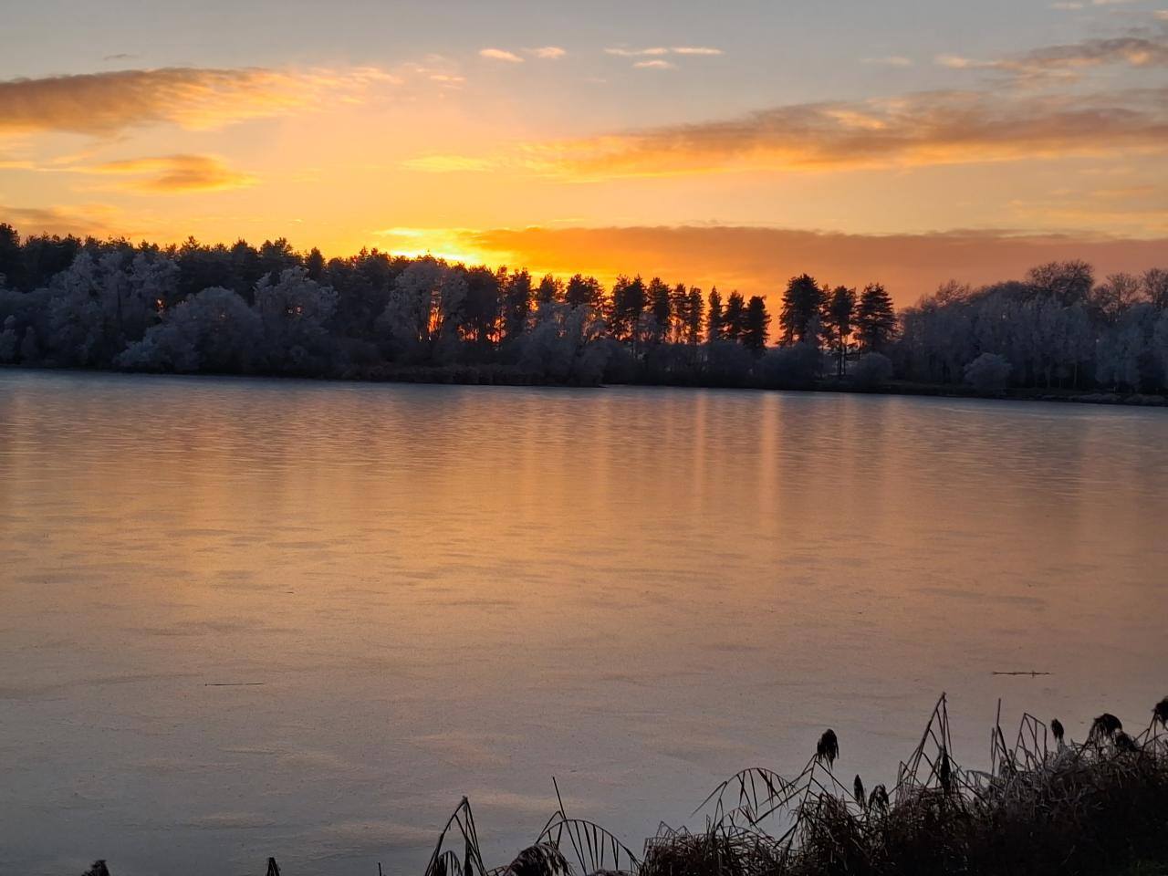 Etang 1