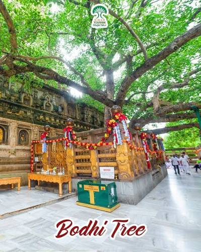 Bodhgaya 1