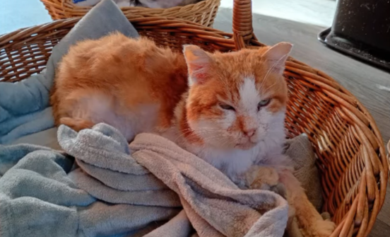 Au revoir Caramel ! 