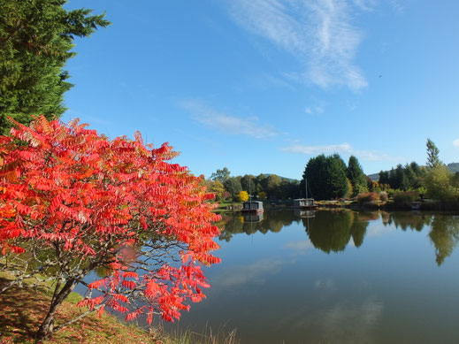 Arboretum