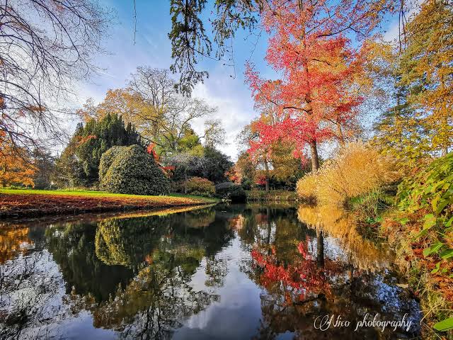 Arboretum-Chamberet