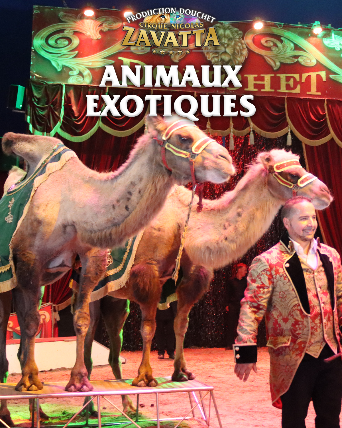 Exotiques