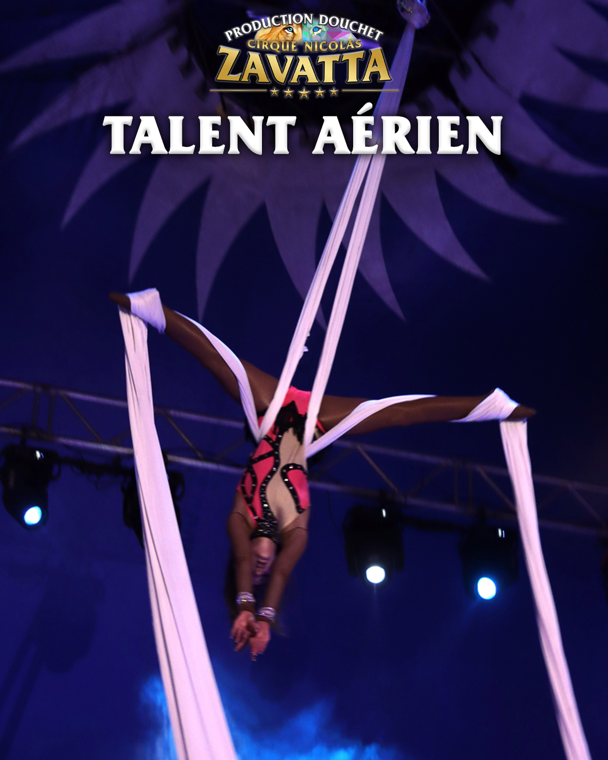 Aerien