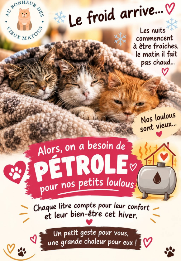 Le froid arrive : aidons nos petits vieux à rester au chaud