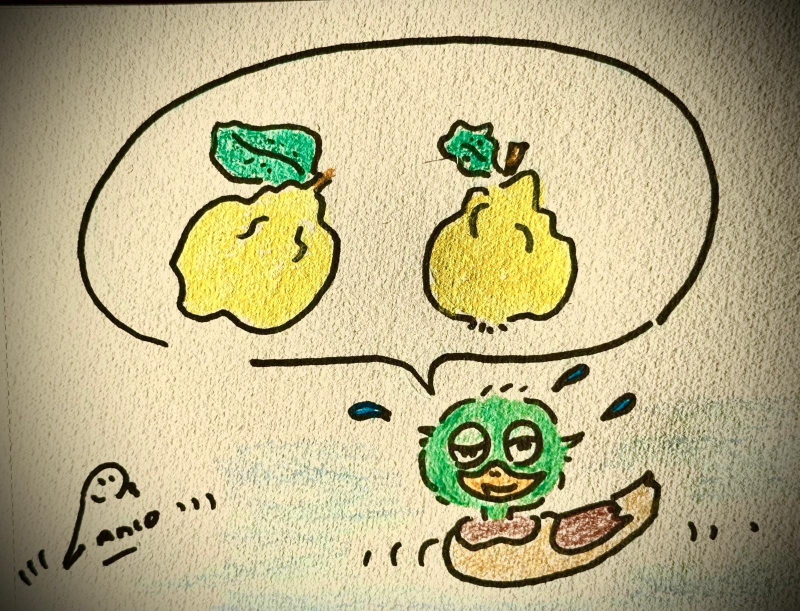Dessin-coings
