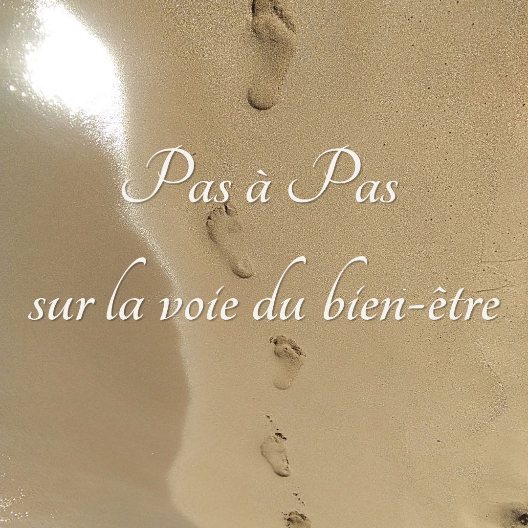 Pas a pas sur la voie du bien etre 2 