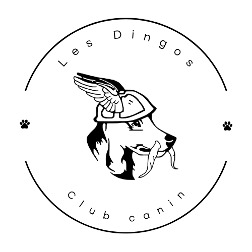 Les-dingos-3-