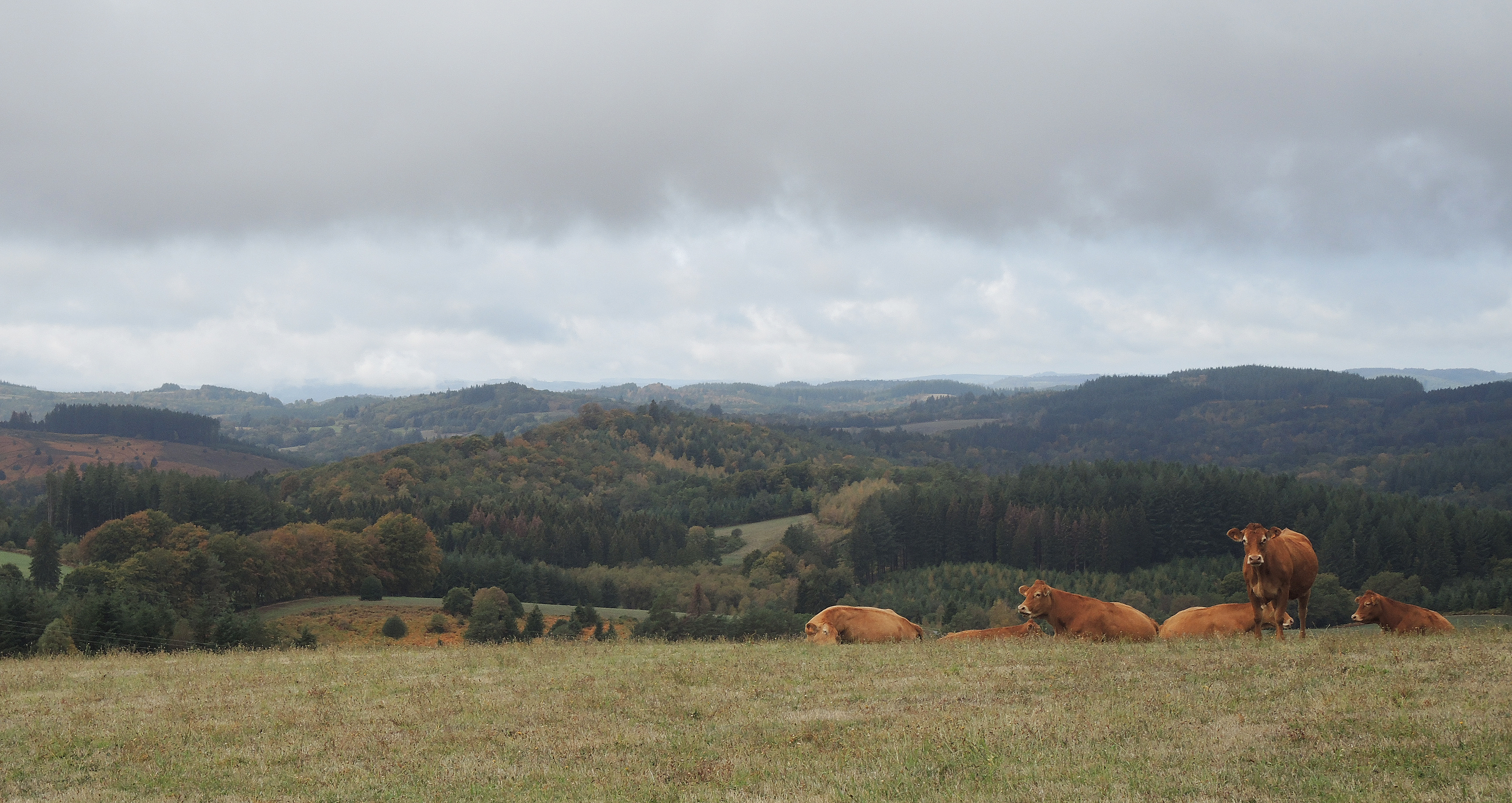 Correze10 2026 5 