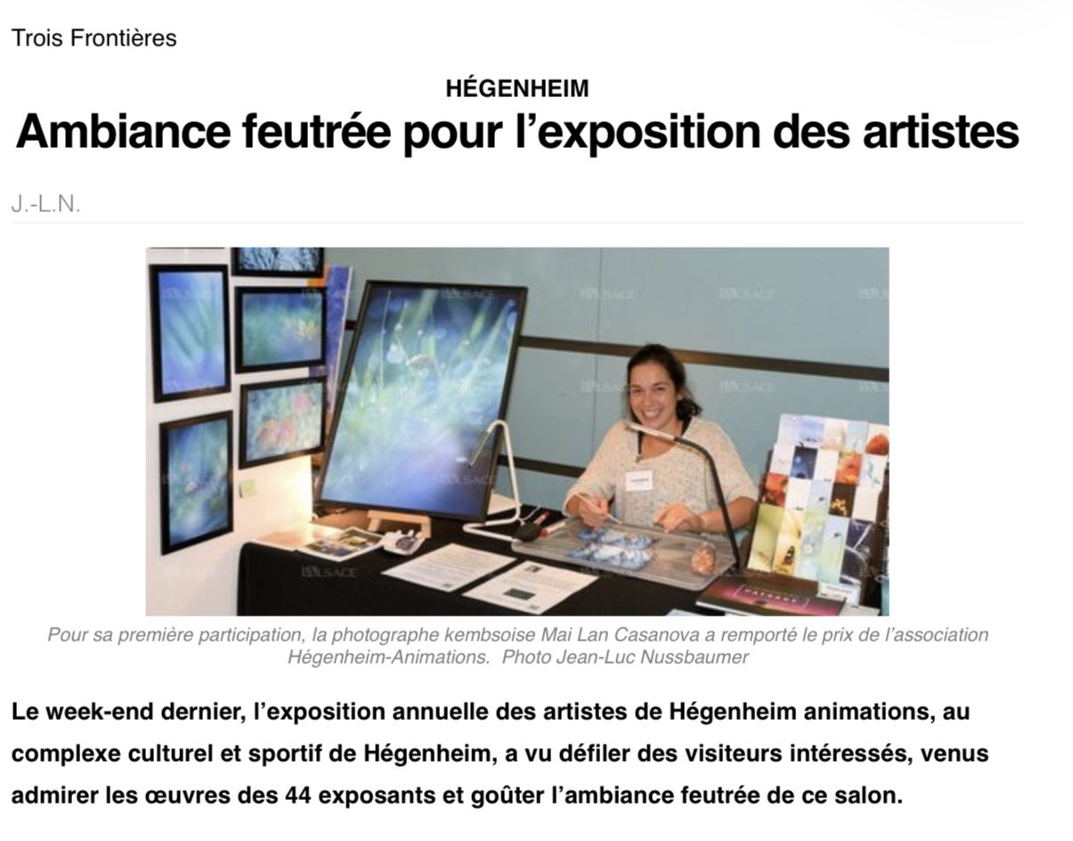 Article he genheim