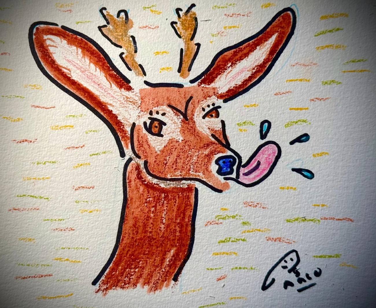 Dessin-chevreuil