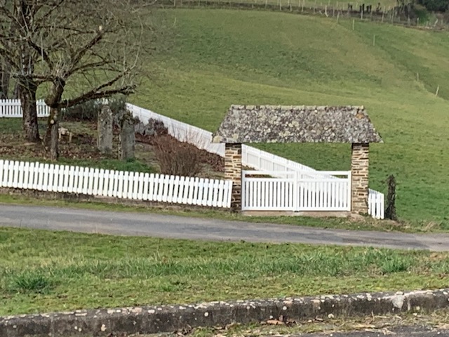 Img 4553