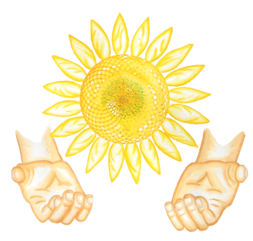Action-solaire-fond-transparent