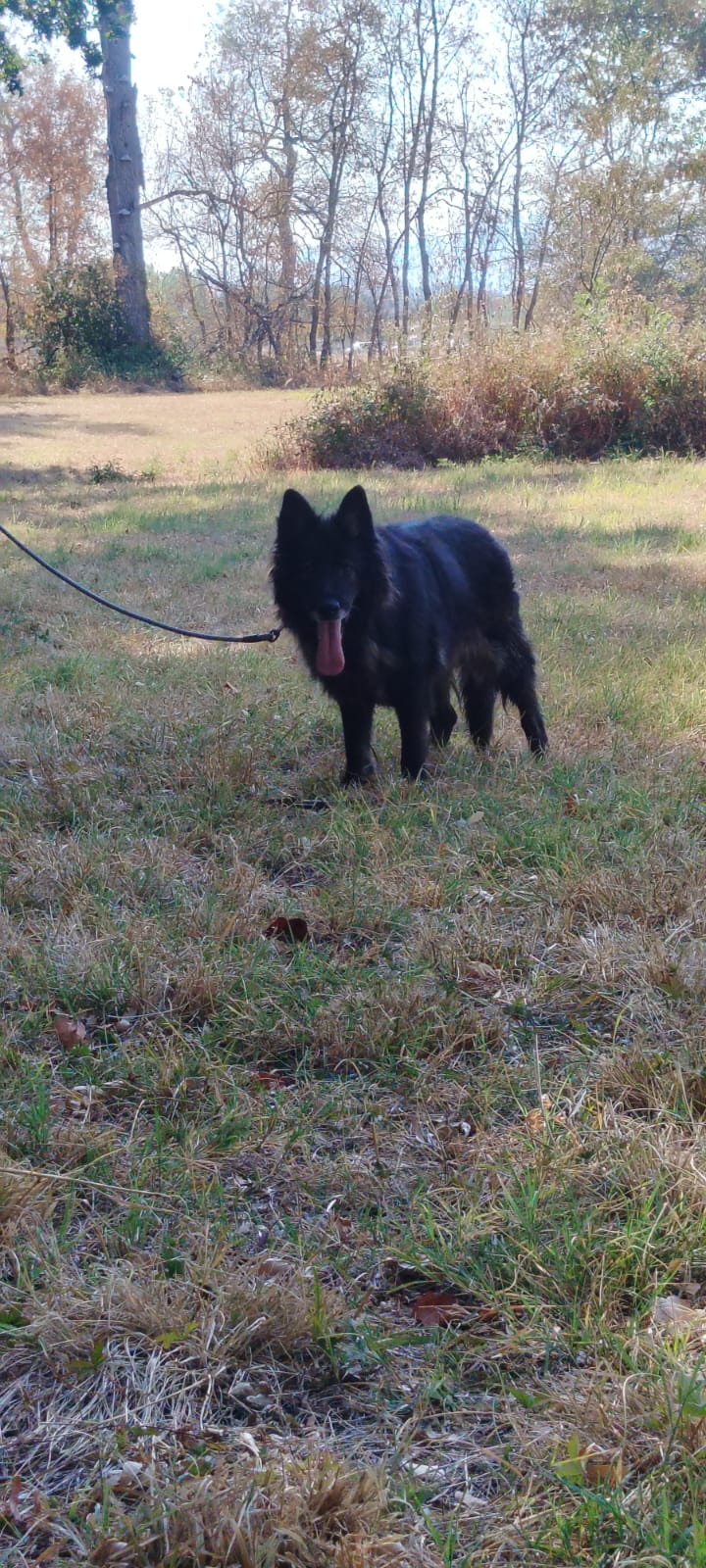 Leika