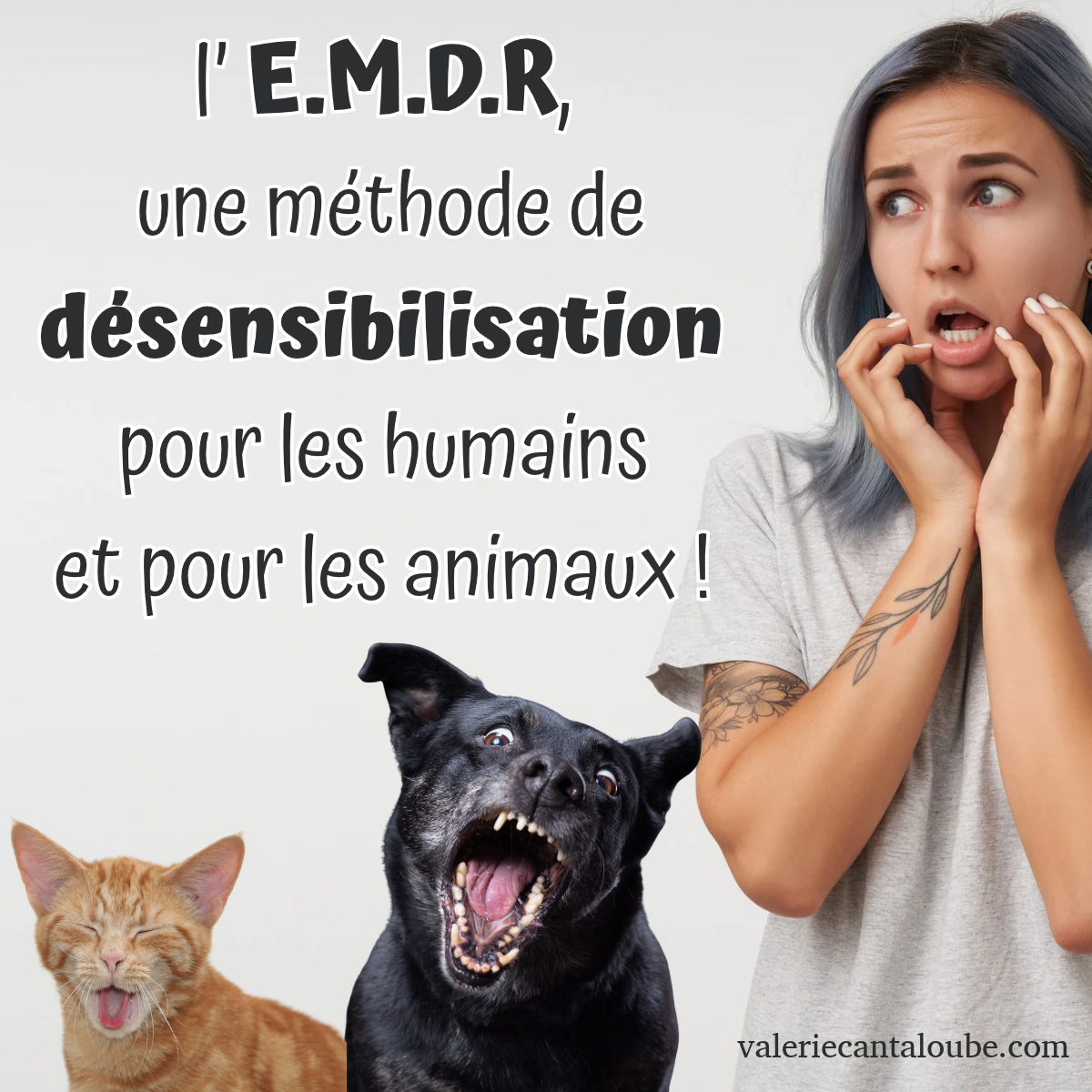 EMDR : comprendre ses émotions, apaiser les souvenirs douloureux et alléger le poids du passé