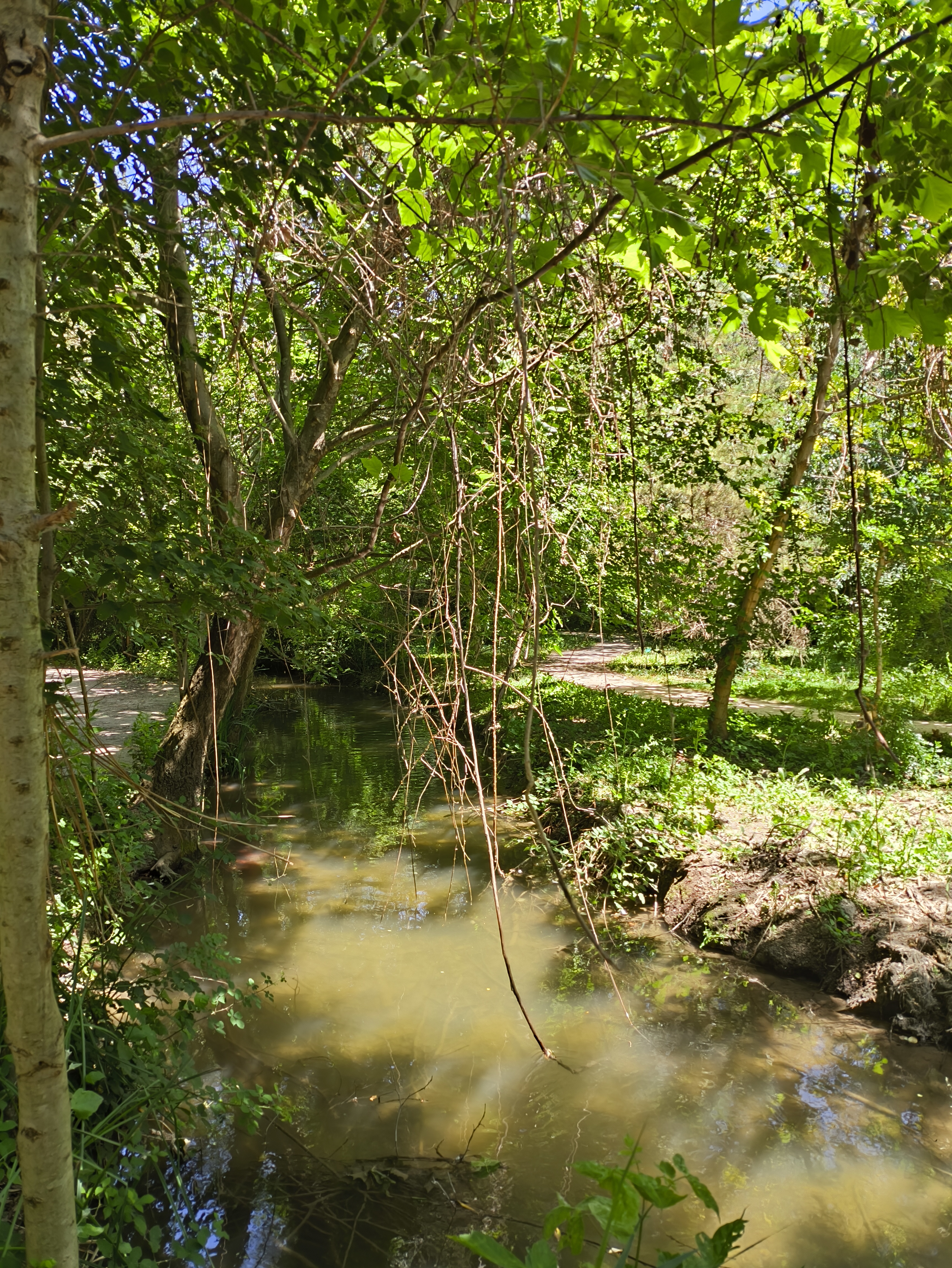 Img 20250529 140243