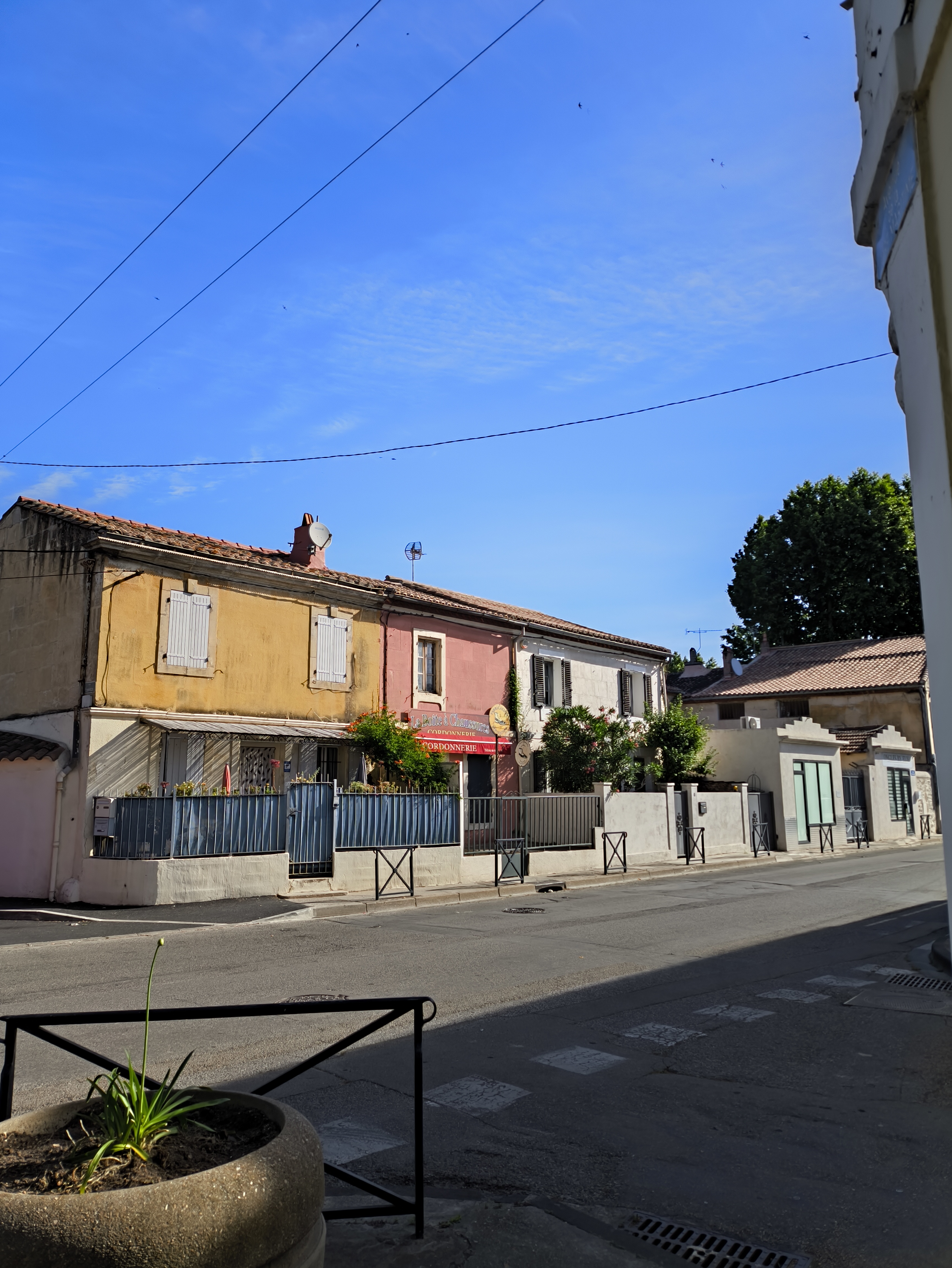 Img 20250529 091447