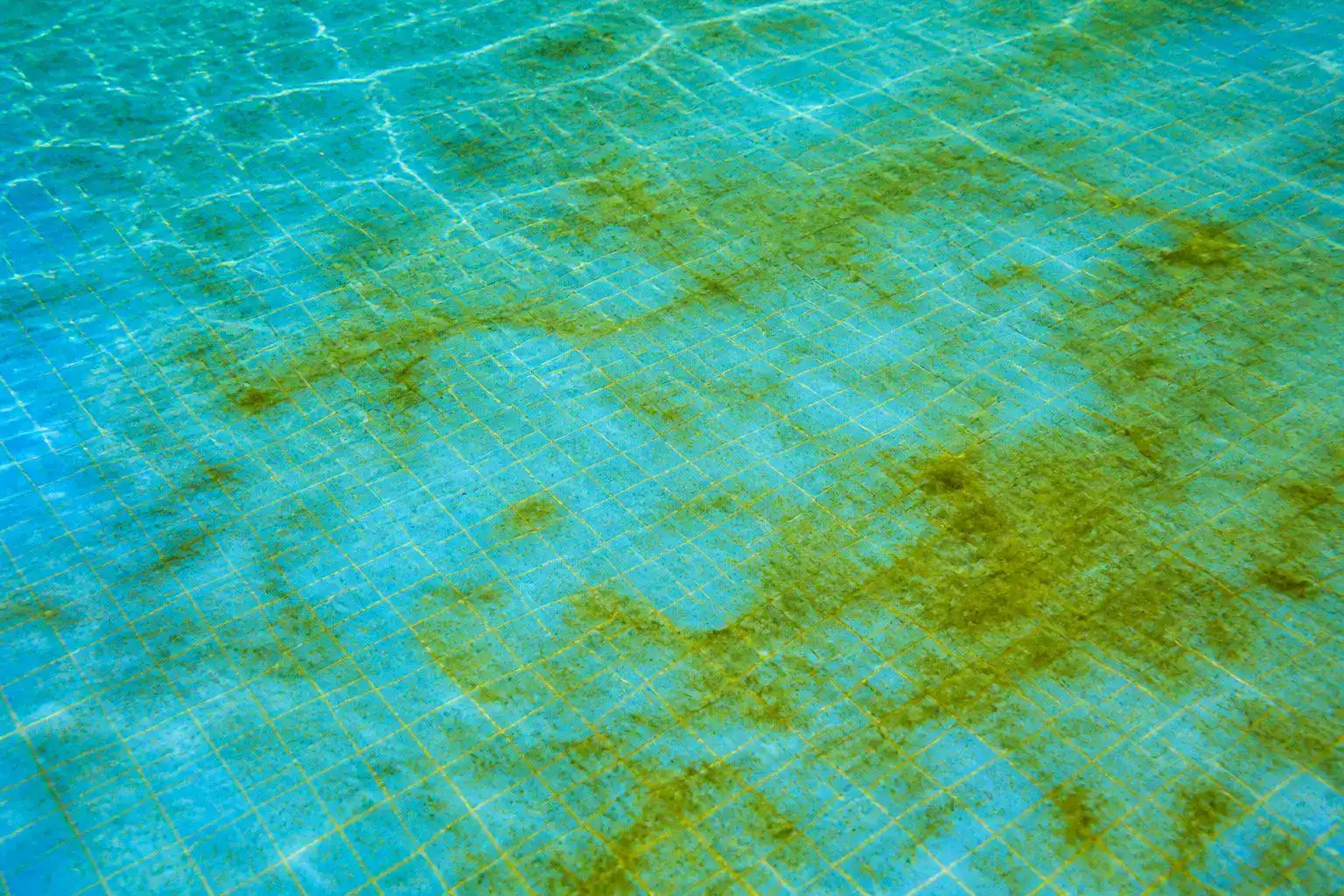 Comment éliminer les algues au fond de votre piscine