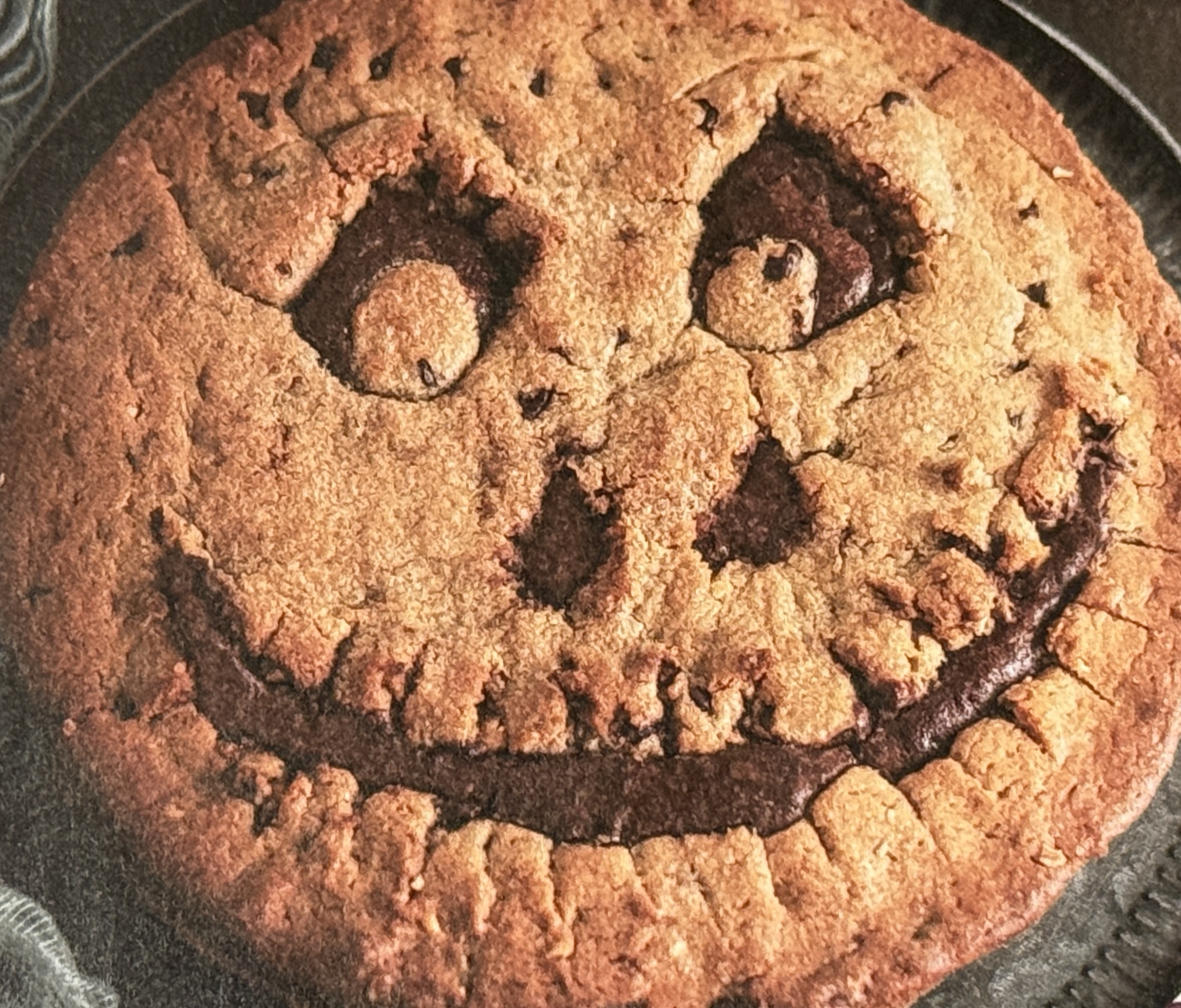 IMG 2583