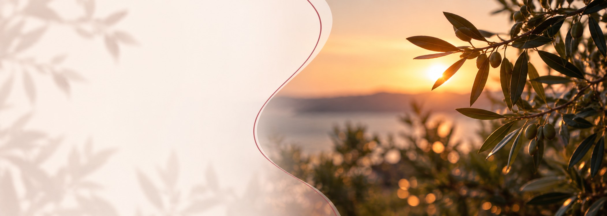 Tarifs-au-coucher-du-soleil-1-