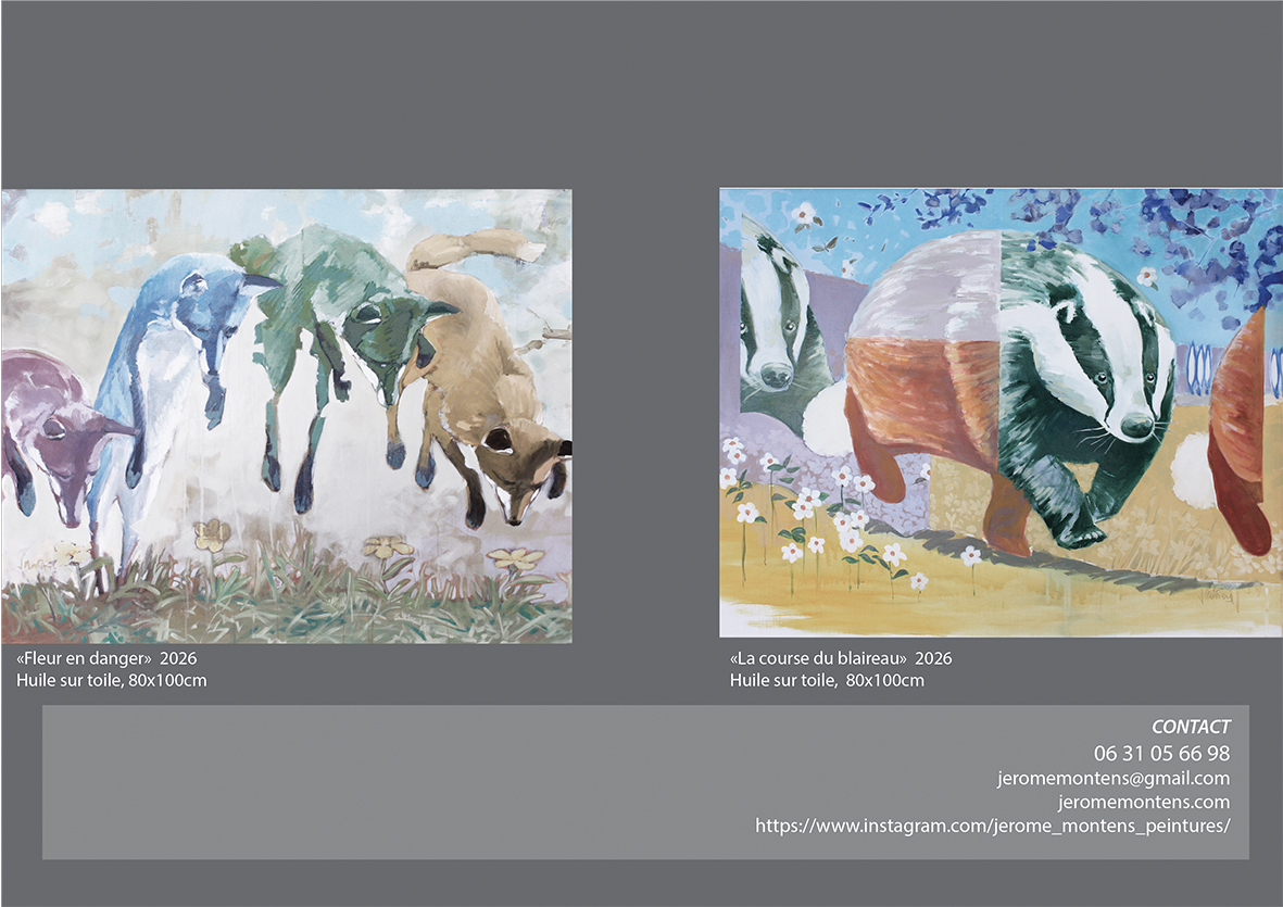 Portfolio-26-8